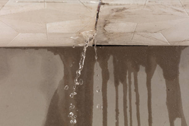 Professional Structural Drying technician working in Nada, TX